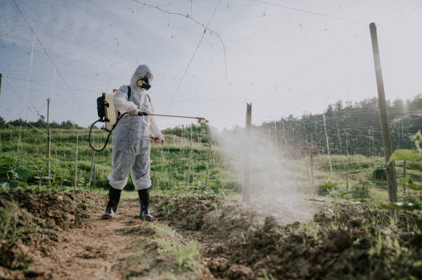 Best Pest Removal Services  in Appalachia, VA