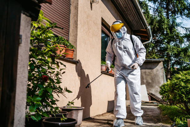 Pest Prevention Services in Appalachia, VA