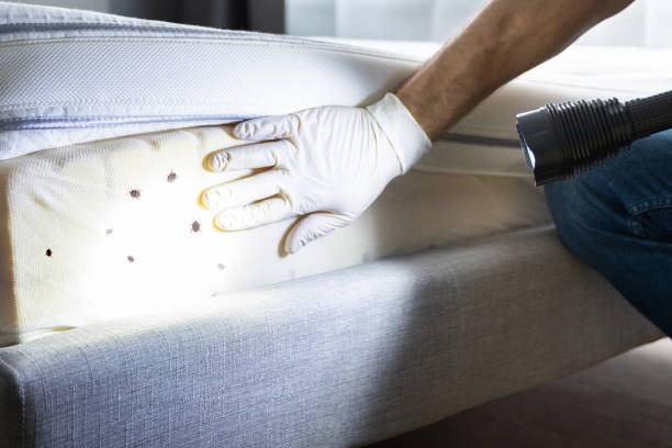 Best Cockroach Control Services  in Appalachia, VA