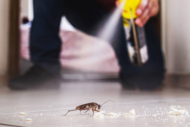 Best Residential Pest Control  in Appalachia, VA